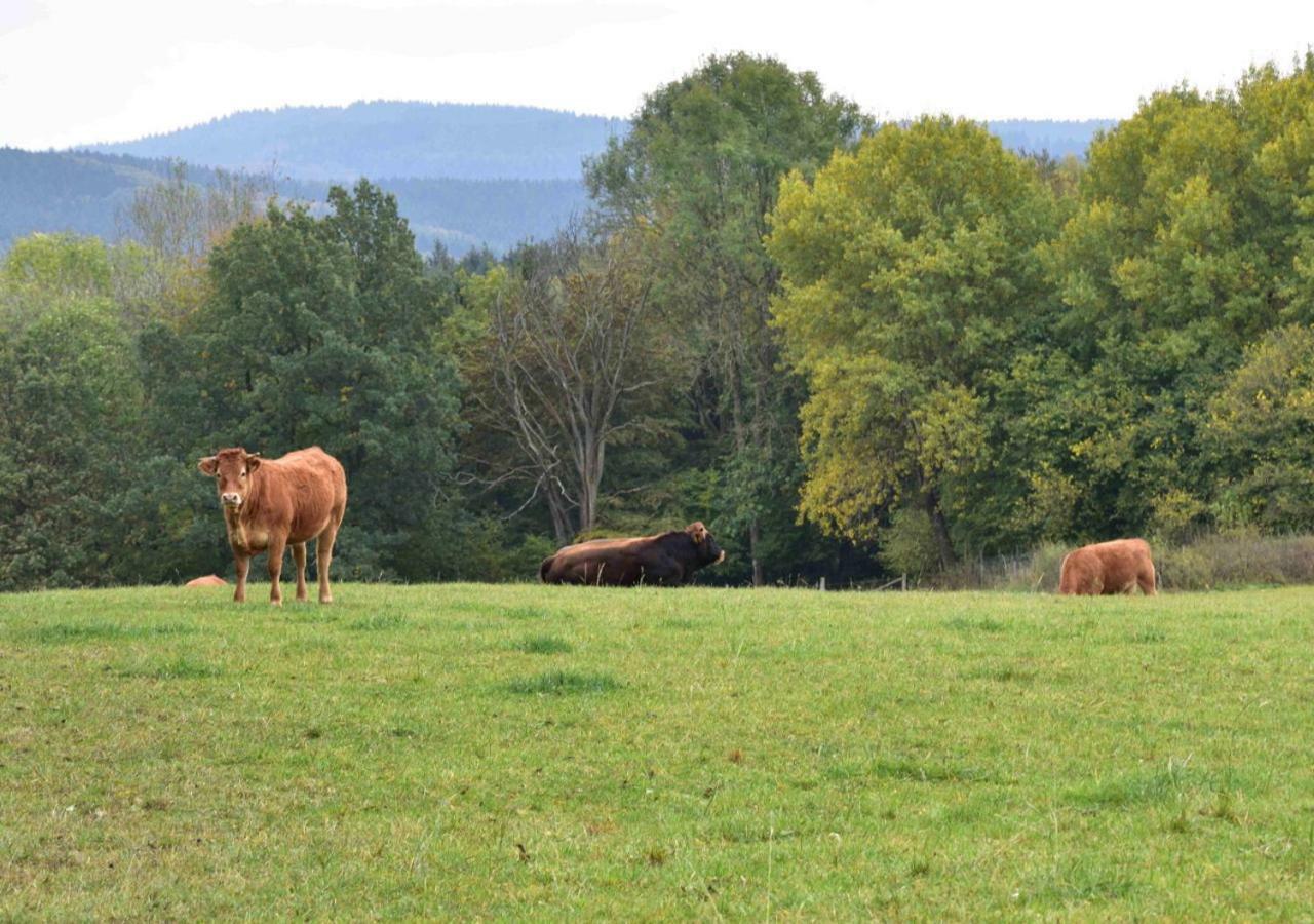 Ferienhaus Vulkaneifel Kopp Dış mekan fotoğraf